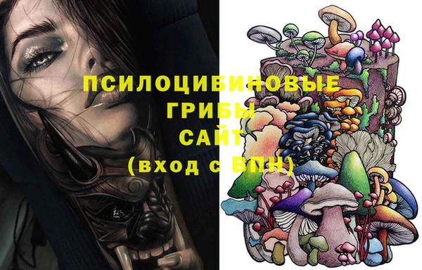 прущий лед Алексин