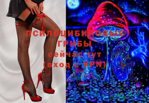 прущий лед Алексин